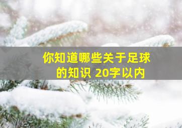 你知道哪些关于足球的知识 20字以内